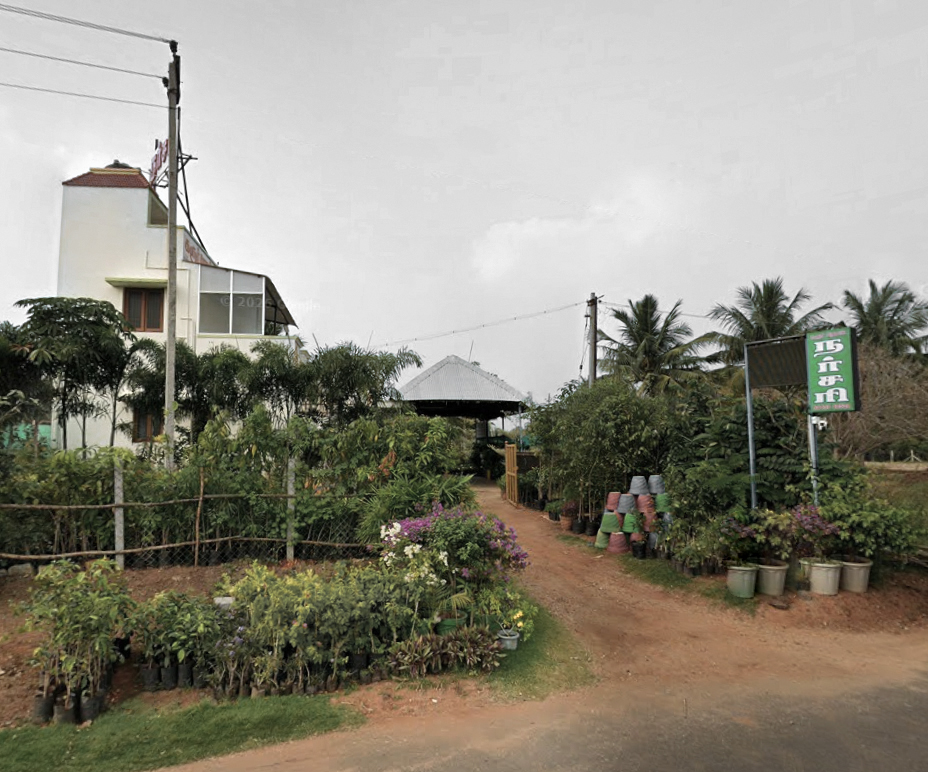 Beautiful curated landscape garden project by Karur Rose Nursery Garden Tamil Nadu