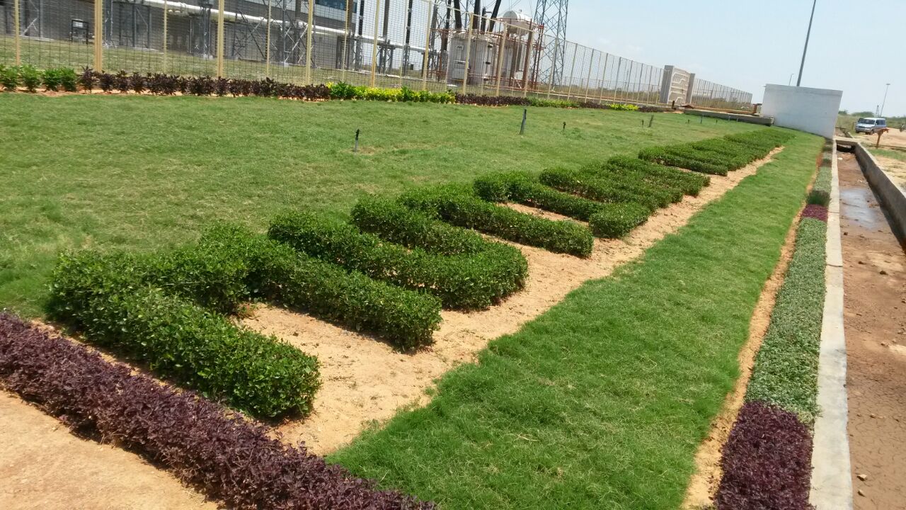 Karur Rose Nursery Project Work 1