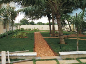 Karur Rose Nursery Project Work 12