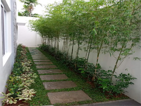 Karur Rose Nursery Project Work 14