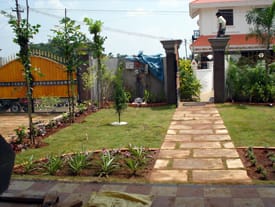 Karur Rose Nursery Project Work 17