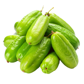 Bilimbi plant - Karur Rose Nursery Garden Tamil Nadu