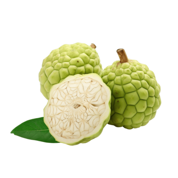Custard Apple plant - Karur Rose Nursery Garden Tamil Nadu
