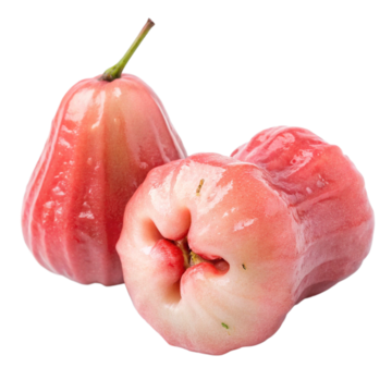 Rose Apple plant - Karur Rose Nursery Garden Tamil Nadu