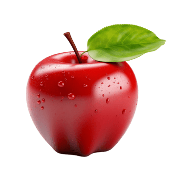 Simla Apple plant - Karur Rose Nursery Garden Tamil Nadu