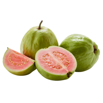 Taiwan Pink Guava plant - Karur Rose Nursery Garden Tamil Nadu