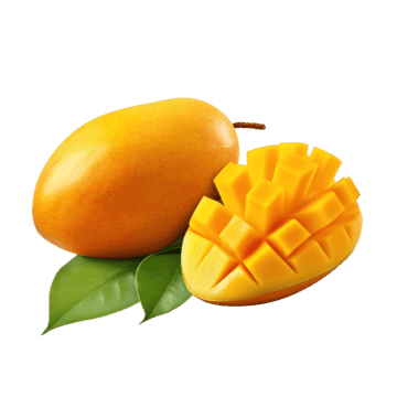 Thai Mango plant - Karur Rose Nursery Garden Tamil Nadu